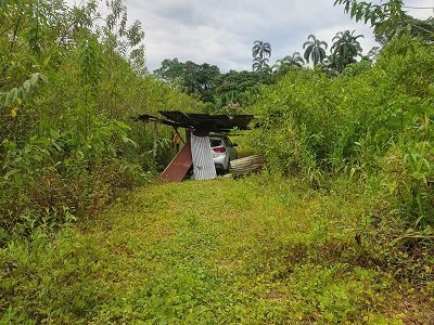 WhatsApp Image 2023-08-03 at 6.39.34 AM(1)