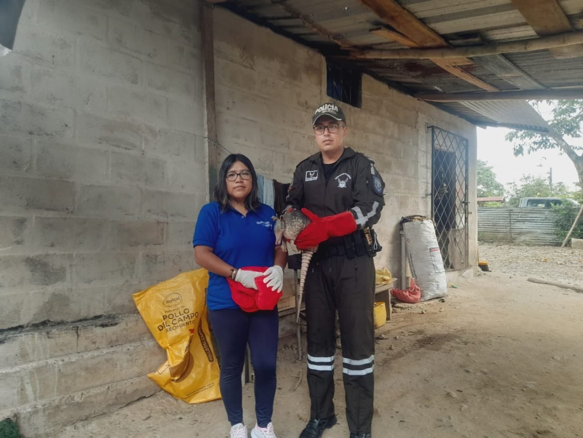 WhatsApp Image 2024-02-01 at 12.26.41 PM